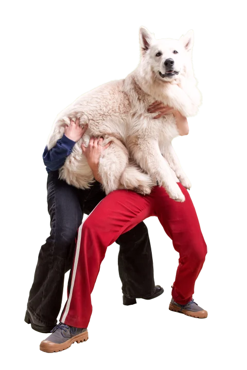 Patsy Kroonenberg | Veenfabriek